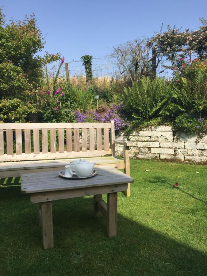 Ramsey House - Luxury Licensed B&B - Parking And Guest Lounge St. Davids  Bagian luar foto