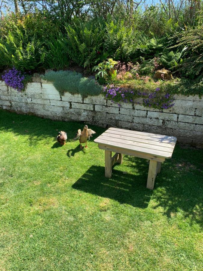 Ramsey House - Luxury Licensed B&B - Parking And Guest Lounge St. Davids  Bagian luar foto
