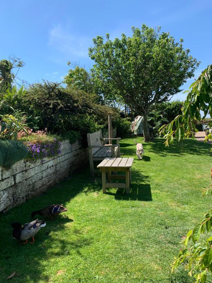 Ramsey House - Luxury Licensed B&B - Parking And Guest Lounge St. Davids  Bagian luar foto