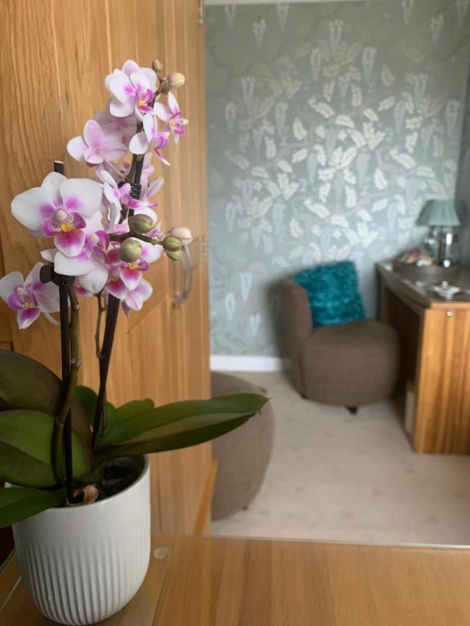 Ramsey House - Luxury Licensed B&B - Parking And Guest Lounge St. Davids  Bagian luar foto